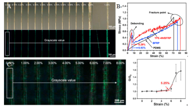 Xinjiang Institute of Physics and Chemistry has made progress in interfacial debonding of basalt fiber reinforced polymer composites